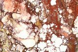 Polished Wild Horse Magnesite Section - Arizona #264002-1